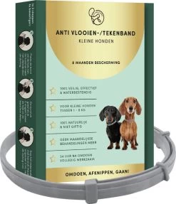 2 Stuks Vlooienband Kleine Hond Tekenband - 100% Natuurlijk Veilig En Waterbestendig