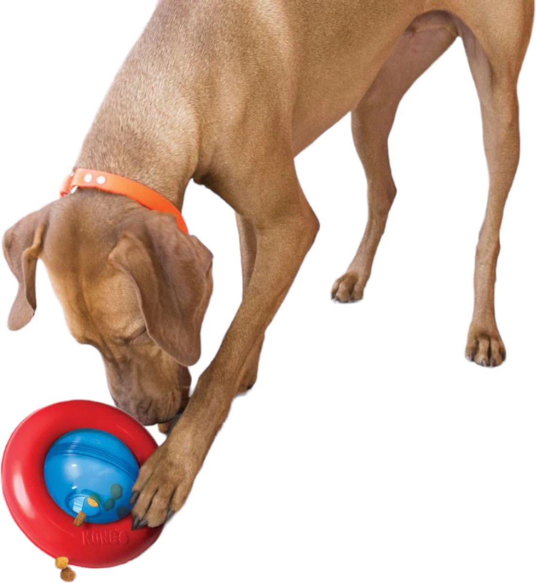 Kong-hondenspeelgoed-slowfeeder-voerdispenser- Gyro- Maat L - Afbeelding 3