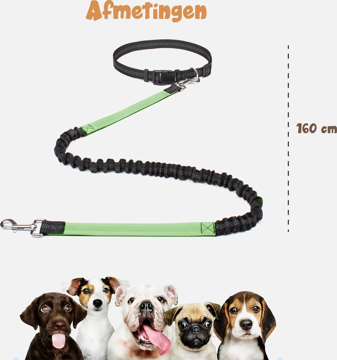 Hardloopriem Hond – Honden Riem Handsfree – Hardlopen Met Hond – 160-260 Cm Groen- Hardloopband Hond – Halsband Hond – Hondenlijn – Leiband Hond - Afbeelding 2