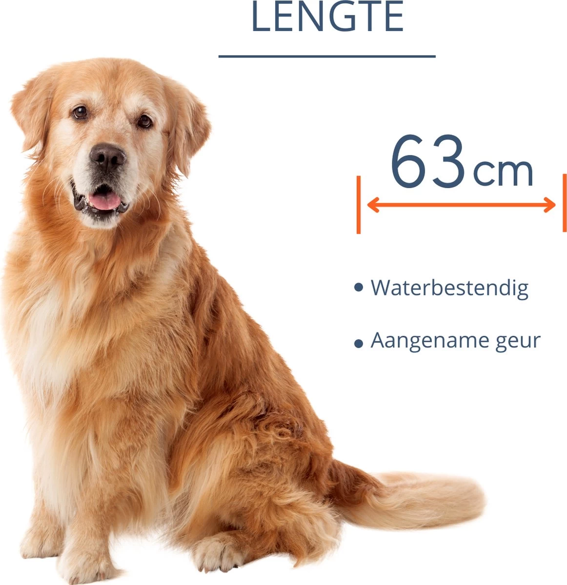 Merkloos Vlooienband Hond - 8 Maanden Bescherming - Vlooienband - Natuurlijk - Tekenband - Anti Vlooien - 63cm - Fit All Sizes - Vlooienbandjes Hond - Vlooien - Teken - Afbeelding 8