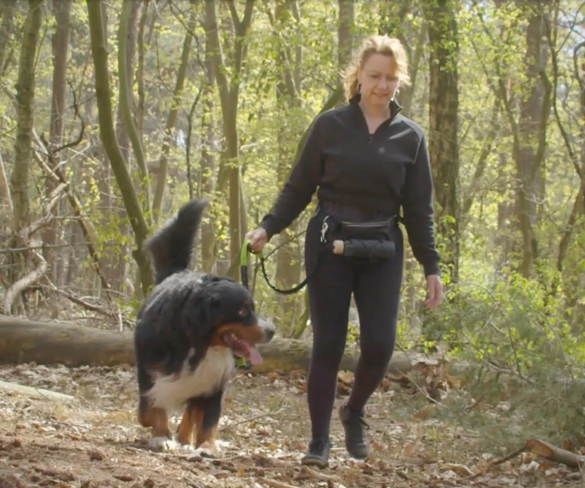 Canicross Looplijn Hond Met Heupriem Voor Hardlopen - Elastische Handsfree Hondenriem - Honden Trainingslijn - 150/200cm - Groen - Afbeelding 2