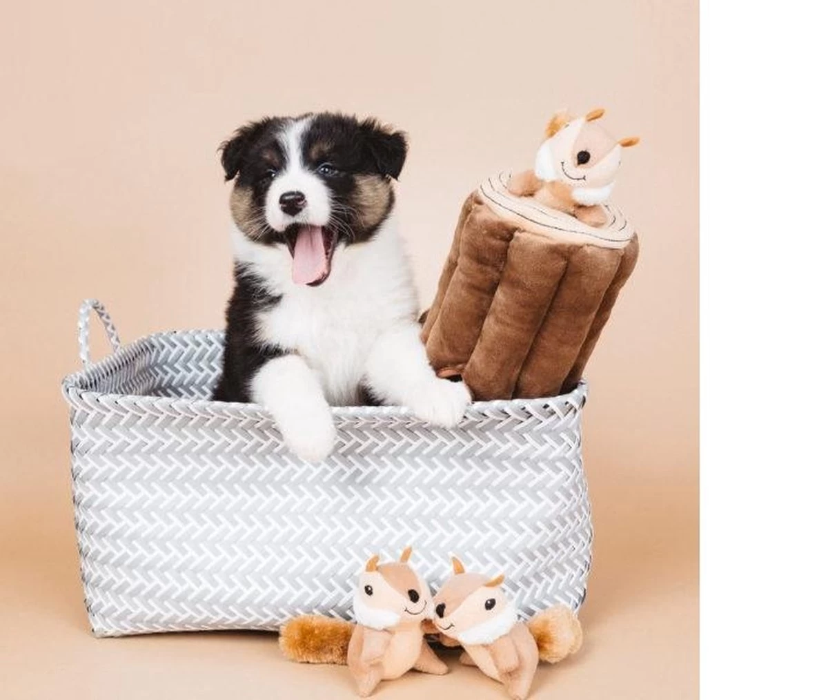 Zippy Paws - Petshop By Fringe Studio- Intelligentie Spel - Speelgoed Hond - Honden - Puzzel - Eekhoorn - Afbeelding 3