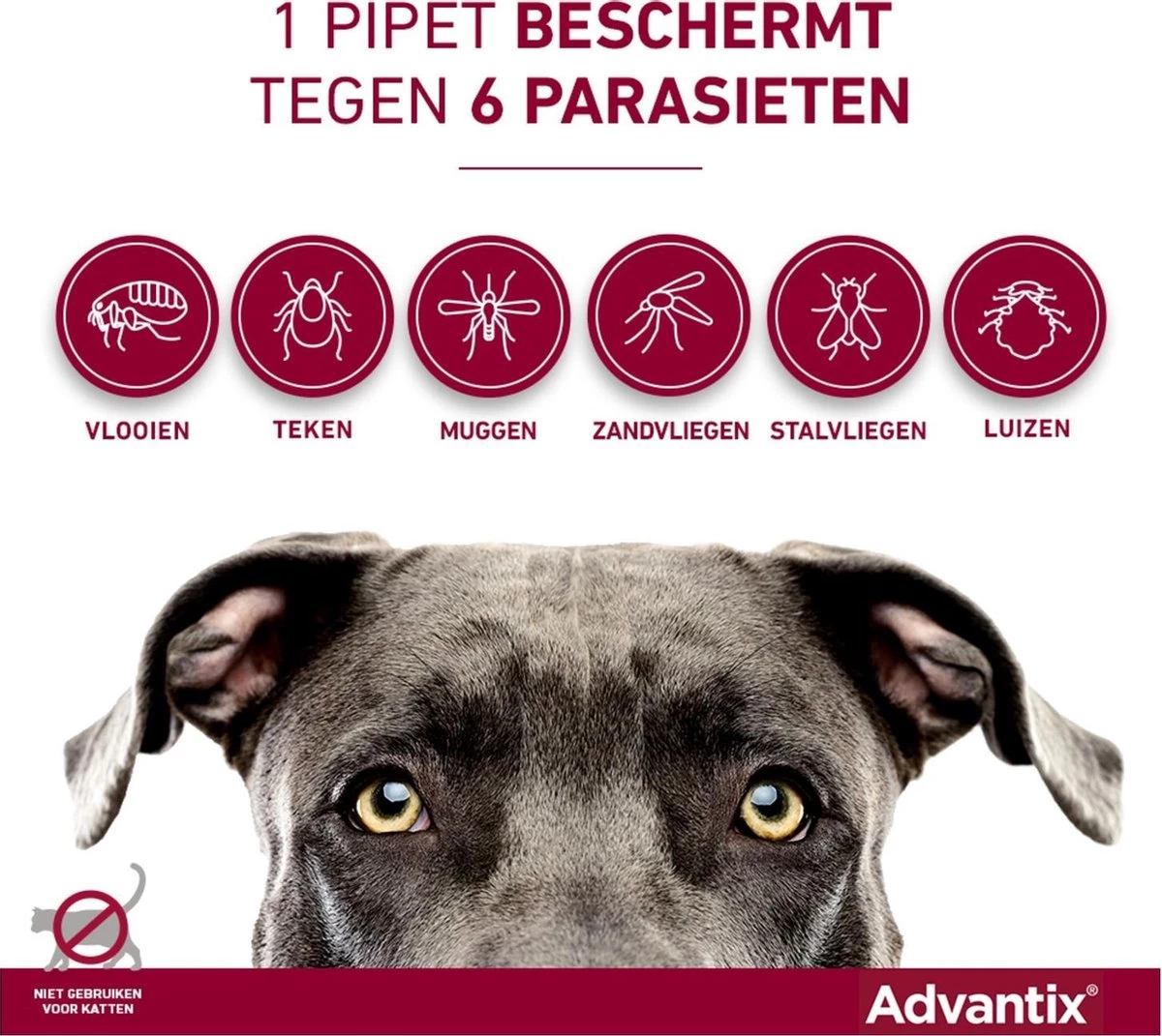 Bayer Advantix Spot-on 400/2000 25+ Kg - 4 Pipetten - Afbeelding 6