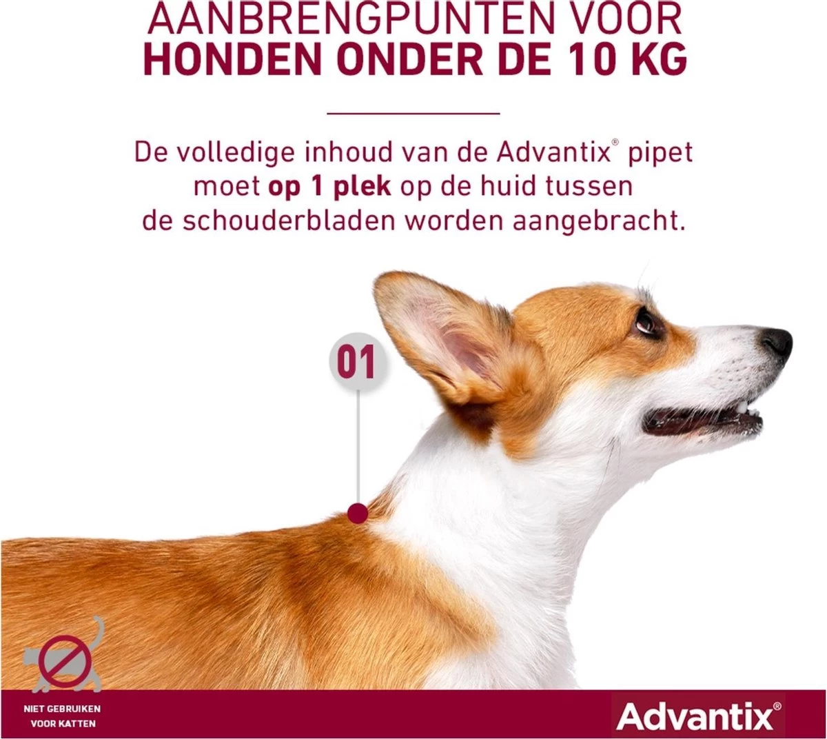 Bayer Advantix Vlooien & Teken Pipetten - Hond Tot 4Kg - 6 Stuks - Afbeelding 7