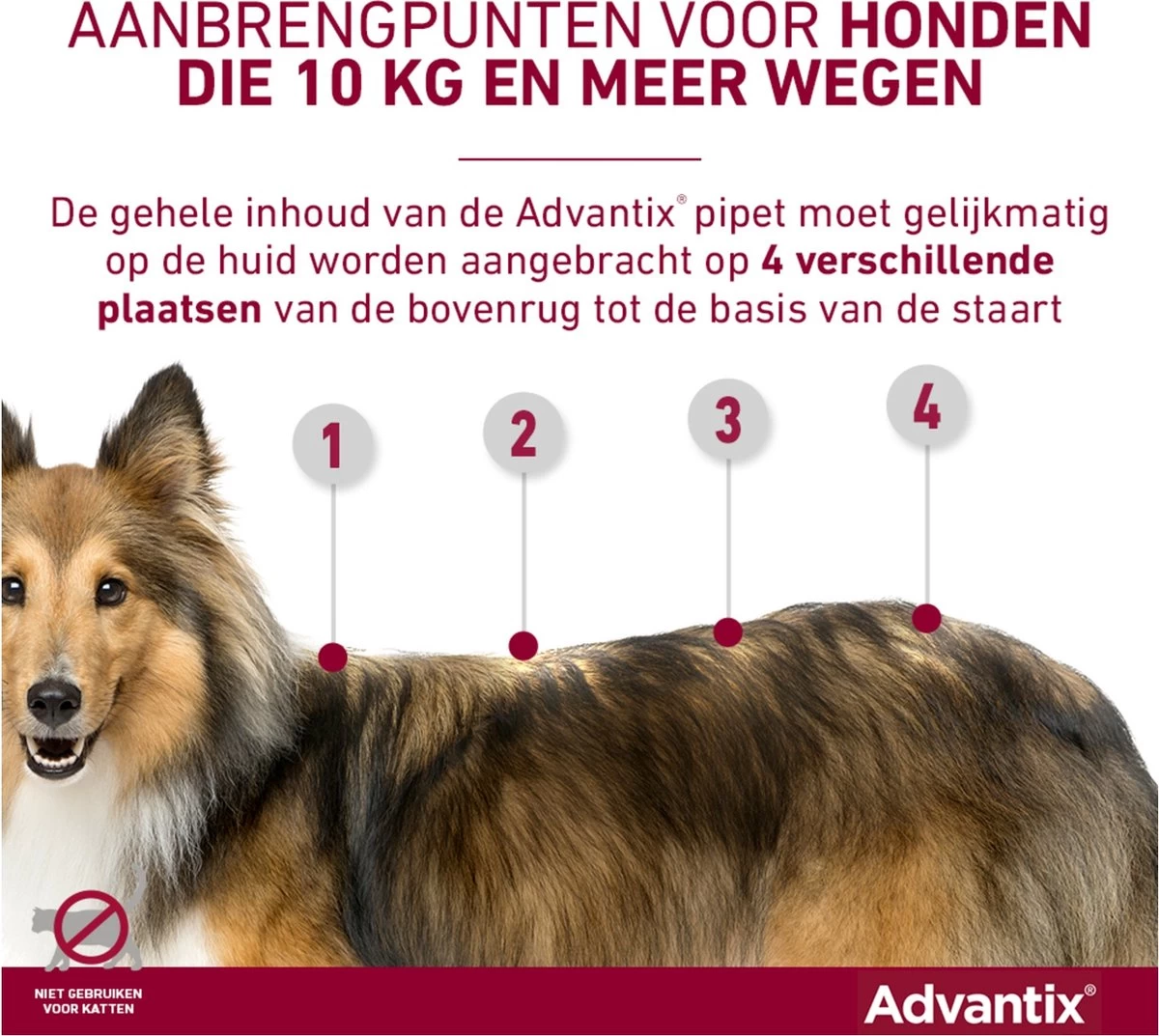 Bayer Advantix Spot-on 400/2000 25+ Kg - 4 Pipetten - Afbeelding 7