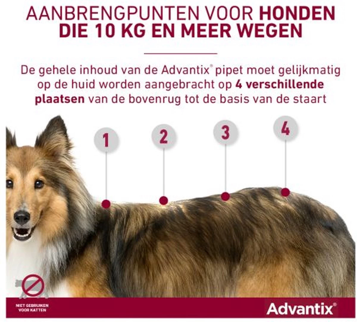 Bayer Advantix Vlooien & Teken Pipetten - Hond 4 Tot 10 Kg - 4 Stuks - Afbeelding 3