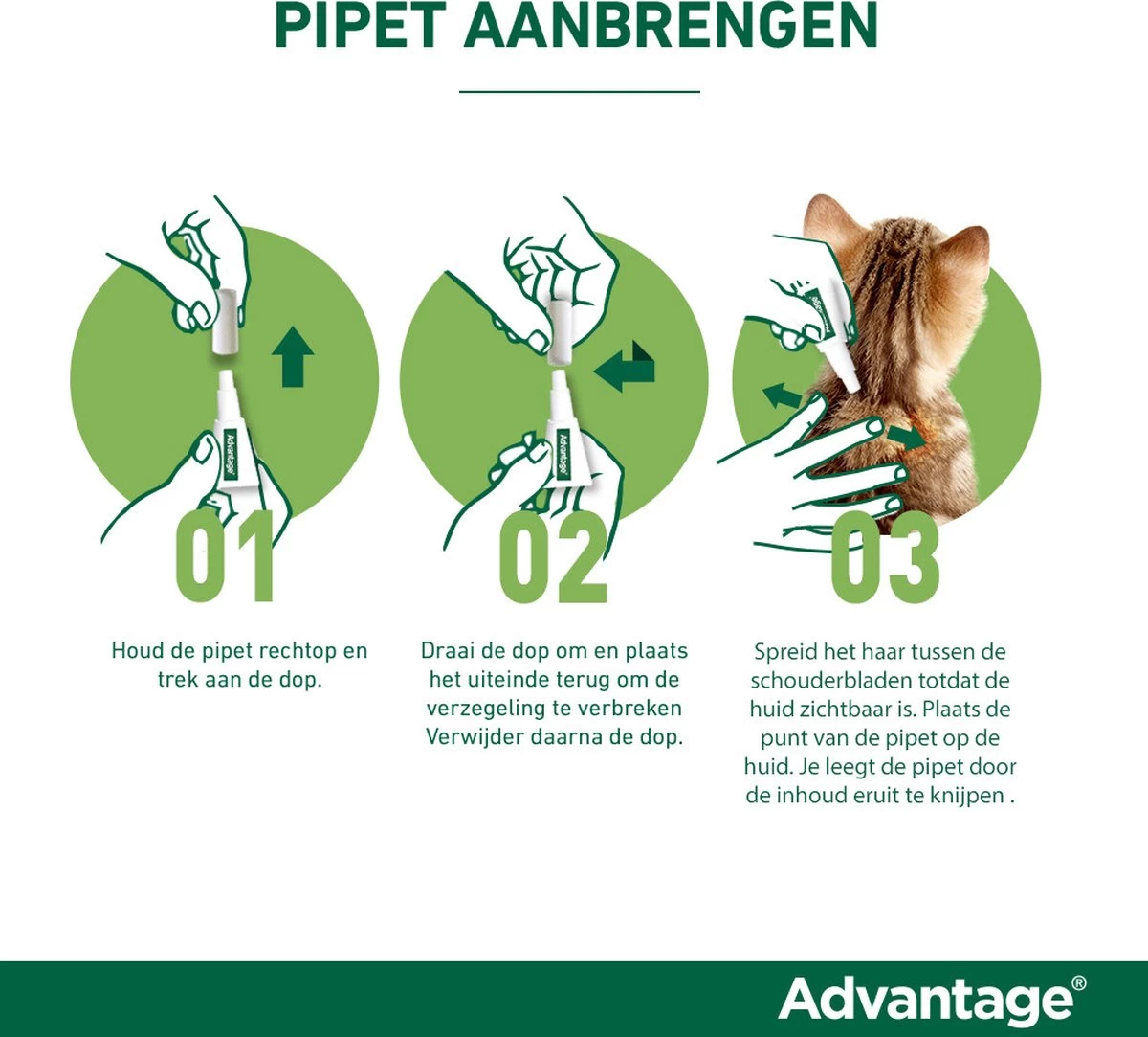 Bayer Advantage 100 Hond 4-10 Kg - 4 Pipetten à 1,0 Ml - Afbeelding 12