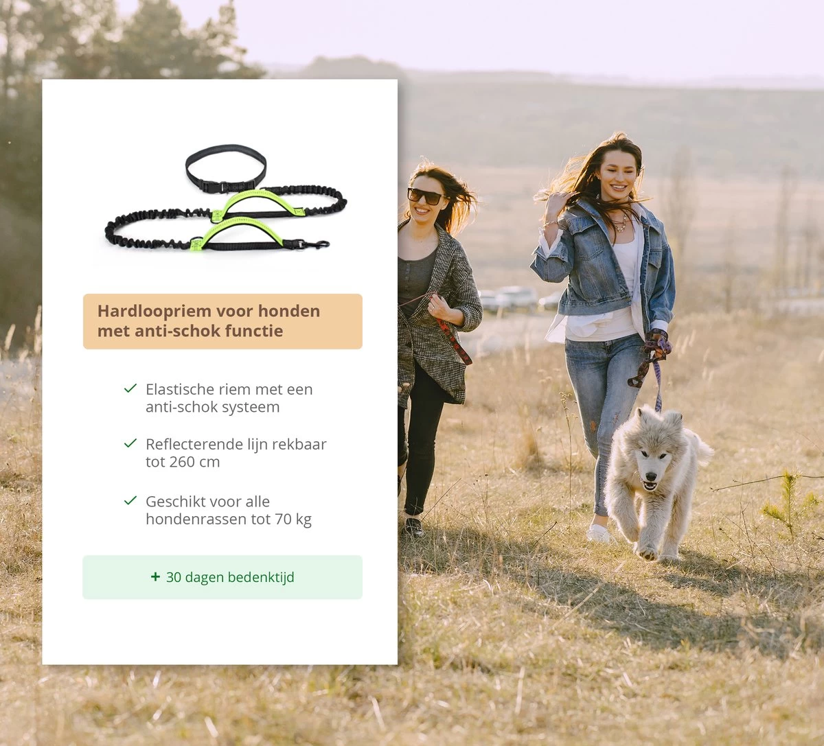Hardloopriem Hond – Honden Riem Handsfree – Hardlopen Met Hond – 160-260 Cm Groen- Hardloopband Hond – Halsband Hond – Hondenlijn – Leiband Hond - Afbeelding 8