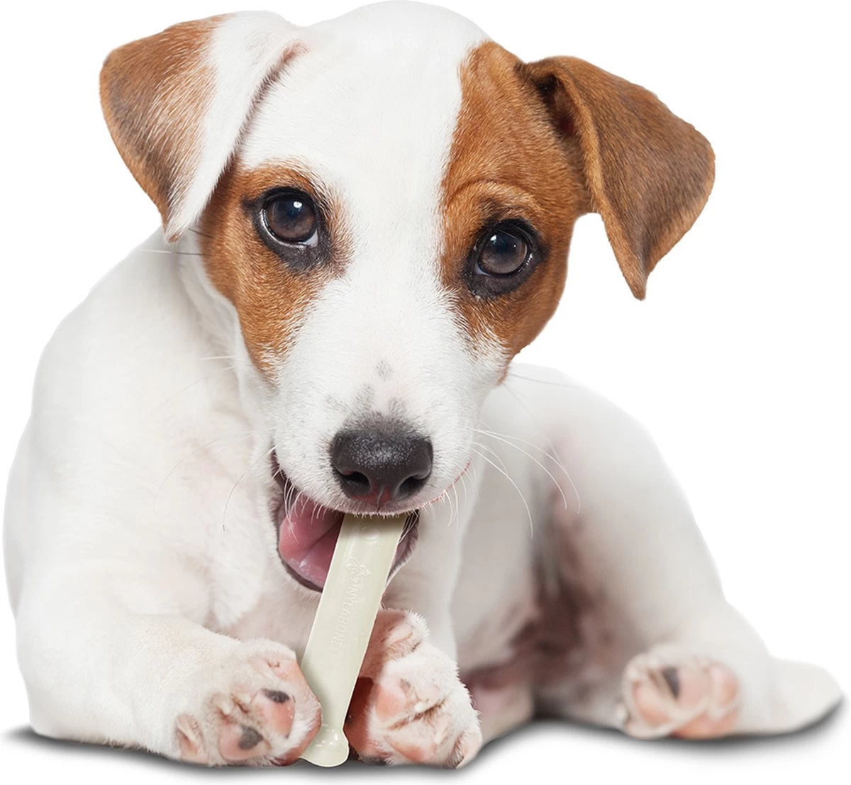 Nylabone Harde Bijters Kluif - Kip - Voor Honden Tot 20 Kg - Afbeelding 6