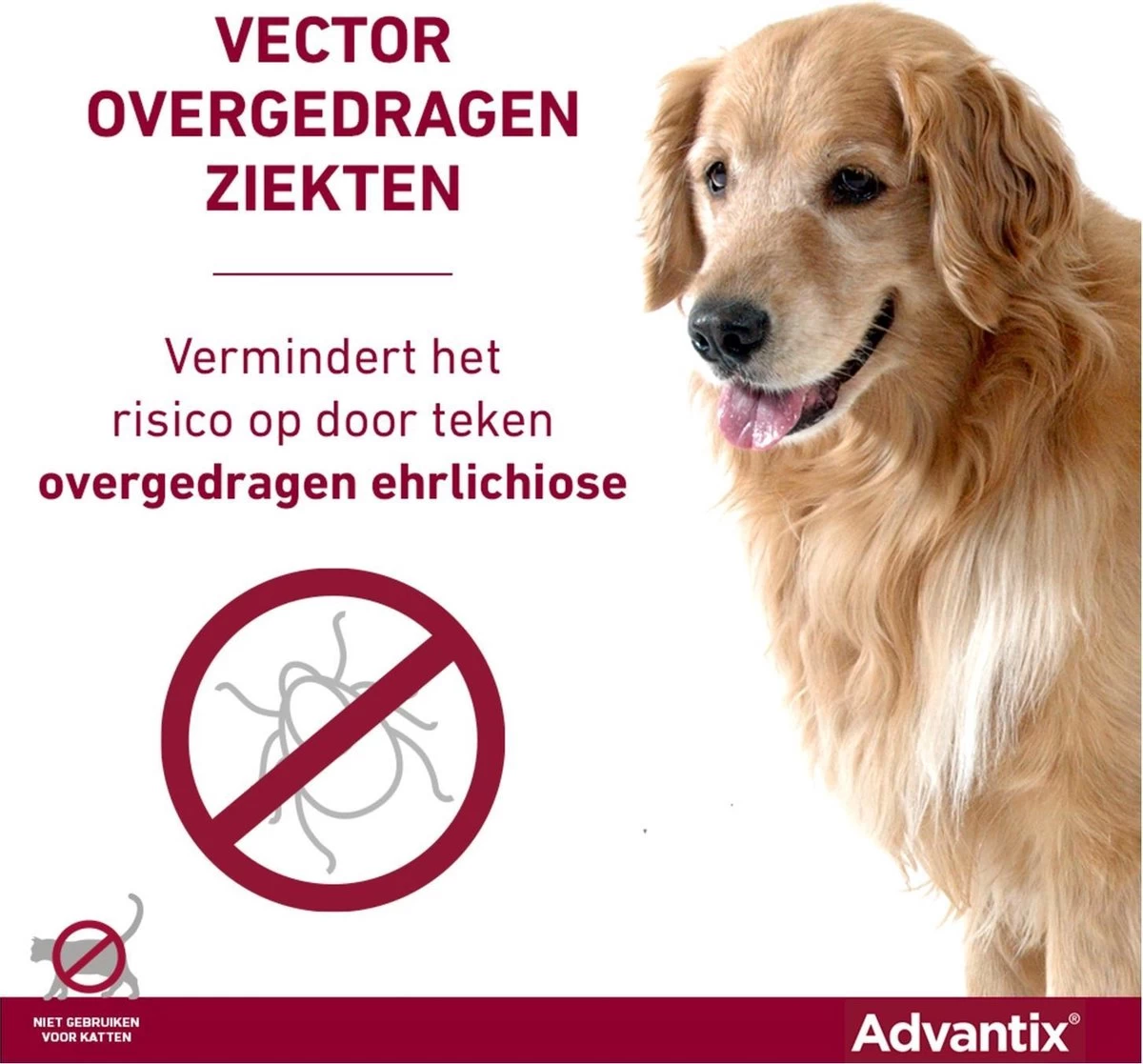 Bayer Advantix Vlooien & Teken Pipetten - Hond Tot 4Kg - 6 Stuks - Afbeelding 13