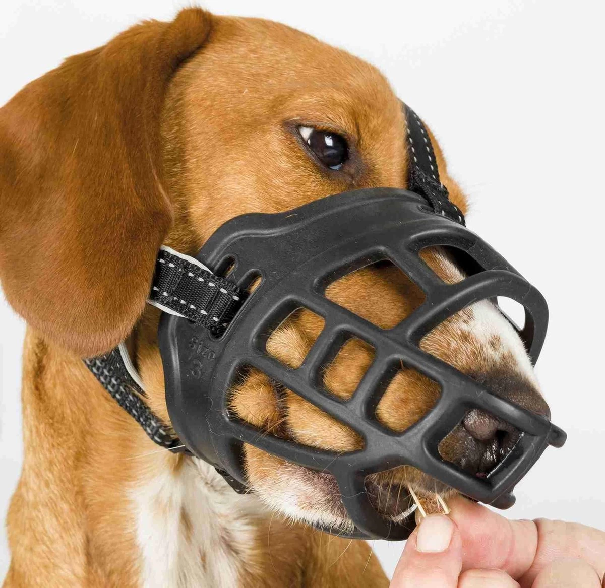 TRIXIE Honden Muilkorf Flex Maat L 17614 - Afbeelding 3