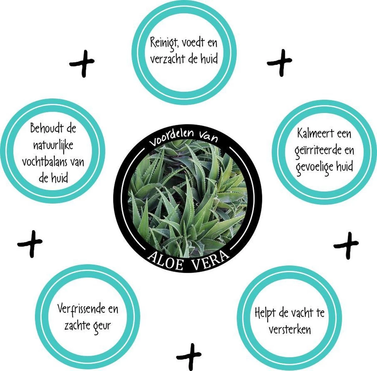 Greenfields Vacht Verzorging Set Voor Honden Shampoo, Conditioner & Droogshampoo - Afbeelding 4