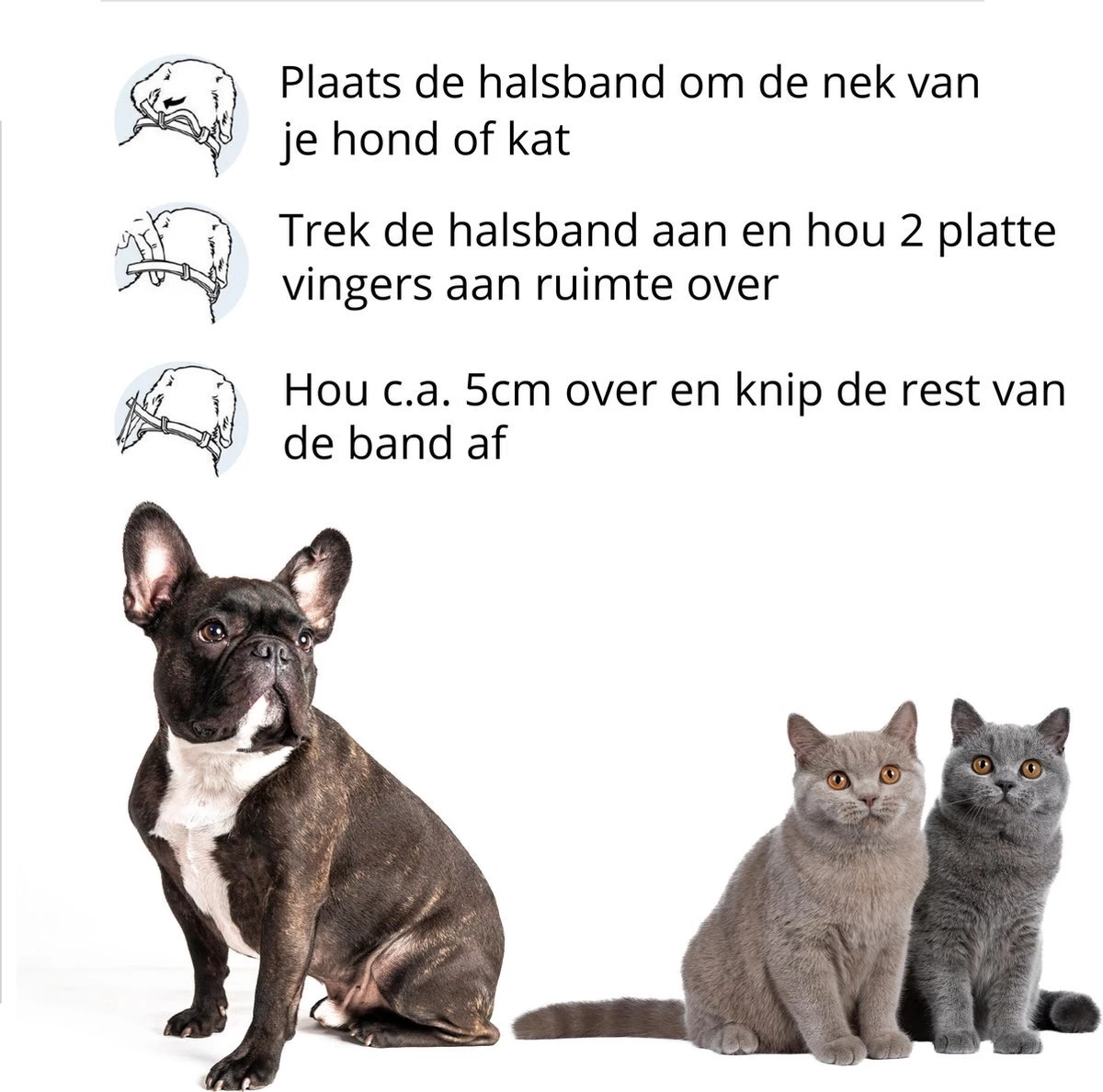 Merkloos Vlooienband Hond - 8 Maanden Bescherming - Vlooienband - Natuurlijk - Tekenband - Anti Vlooien - 63cm - Fit All Sizes - Vlooienbandjes Hond - Vlooien - Teken - Afbeelding 3