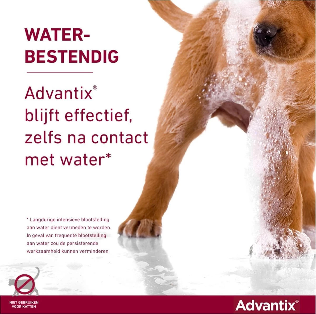 Bayer Advantix Vlooien & Teken Pipetten - Hond Tot 4Kg - 6 Stuks - Afbeelding 20