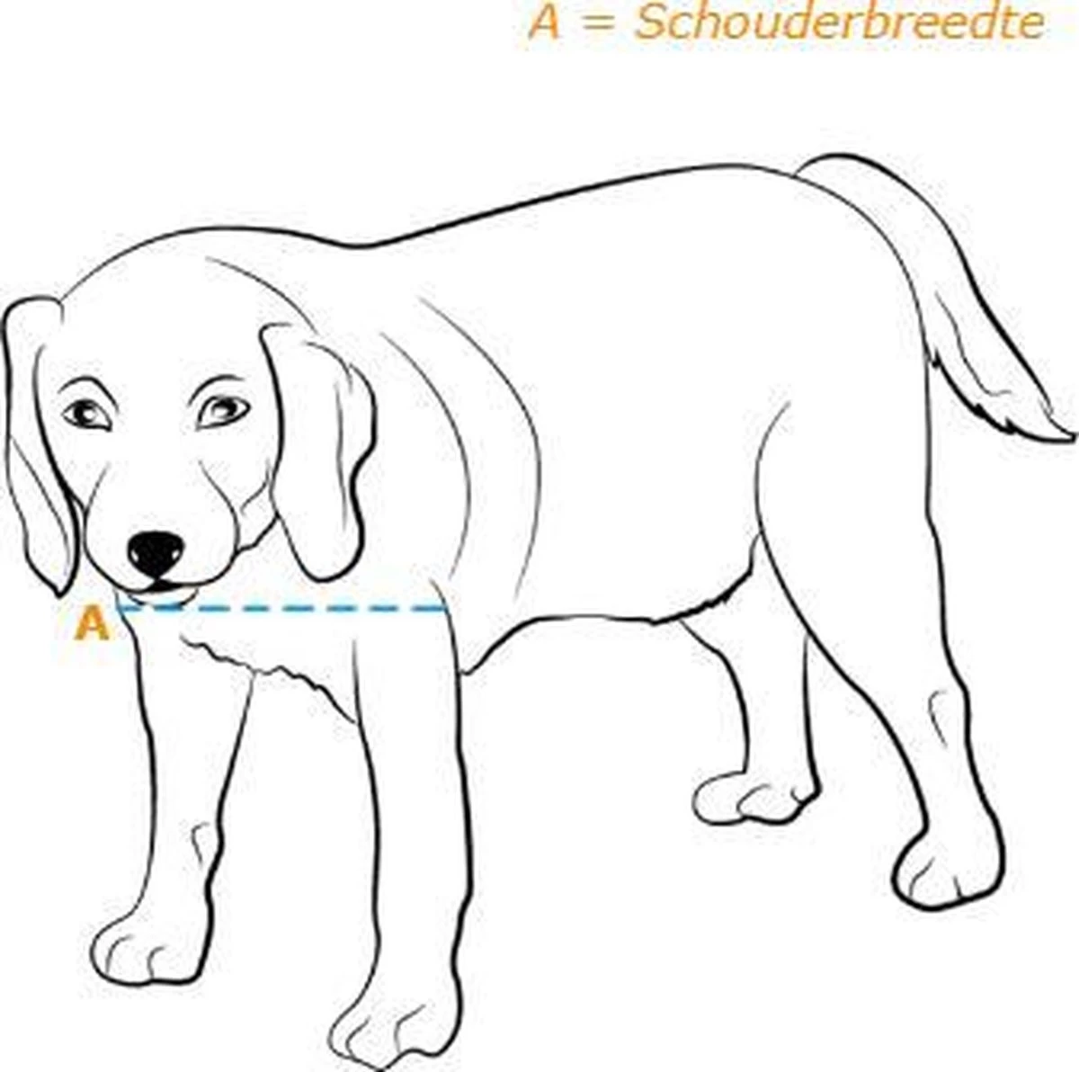 Petsafe 660 Hondenluik - Tot 100 Kg - Aluminium - Afbeelding 4