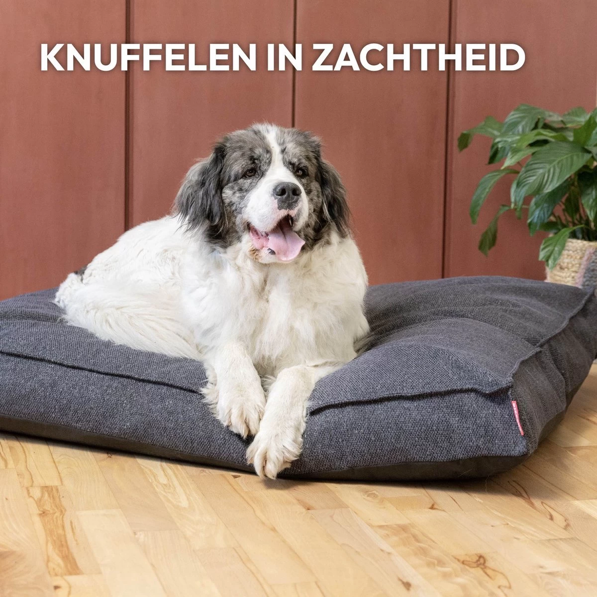 Snoozle Orthopedische Hondenmand - Zacht En Luxe Hondenkussen - Hondenbed - Wasbaar - Hondenmanden - 100 X 70 Cm - Groen - Afbeelding 6