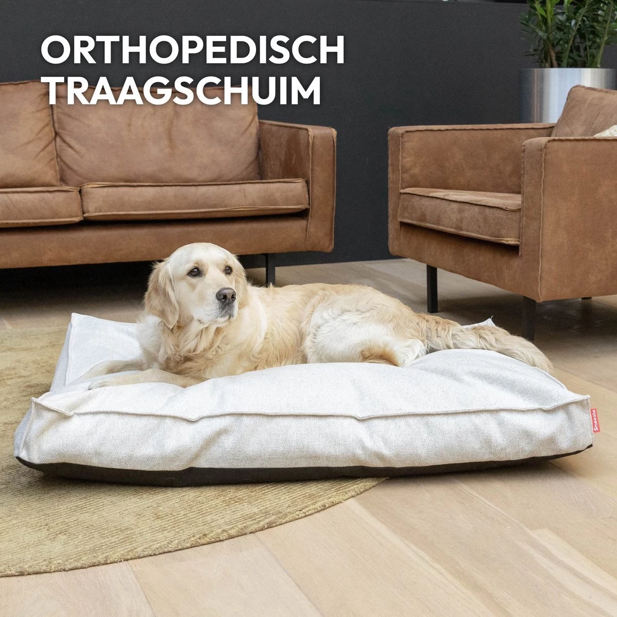 Snoozle Orthopedische Hondenmand - Zacht En Luxe Hondenkussen - Hondenbed - Wasbaar - Hondenmanden - 100 X 70 Cm - Groen - Afbeelding 8