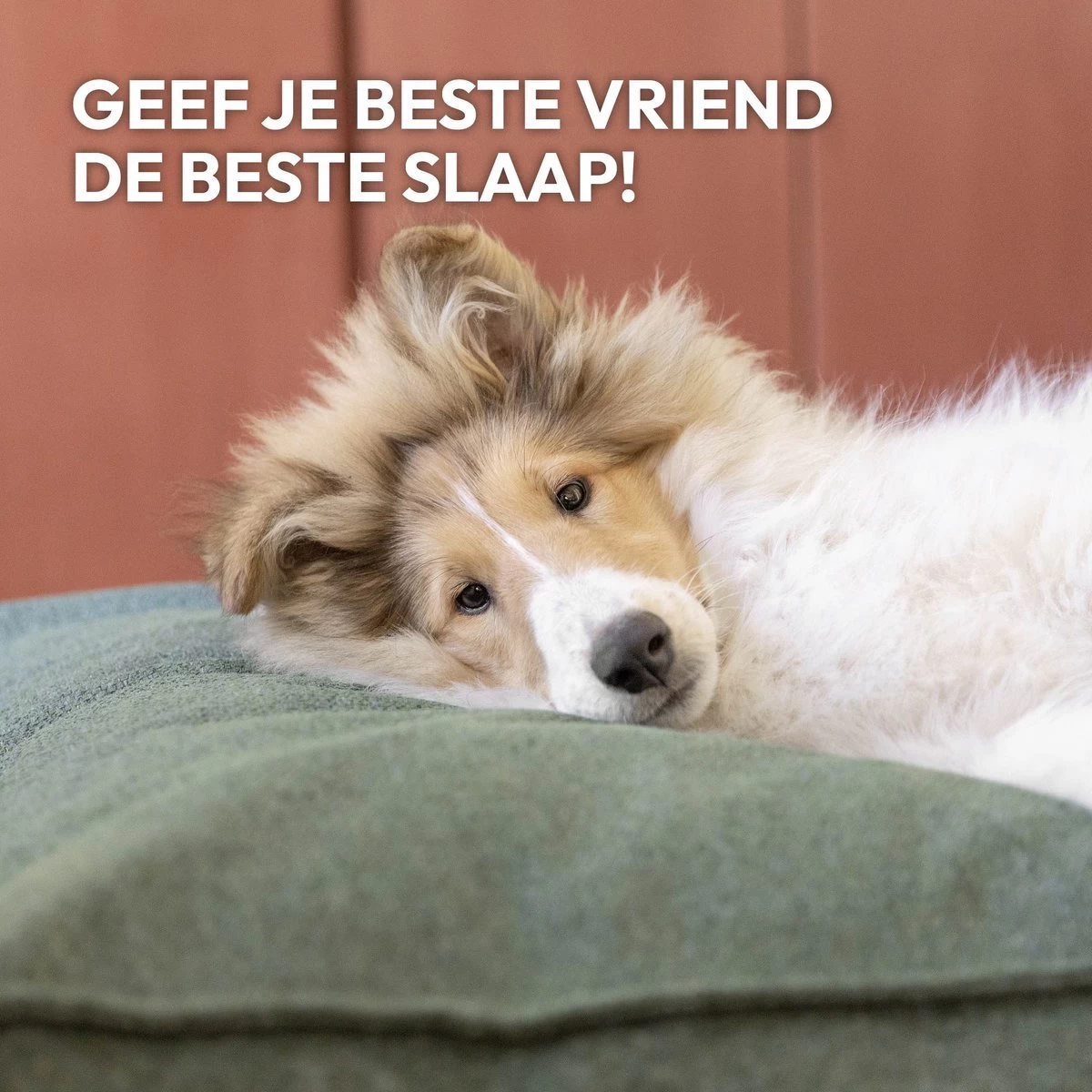 Snoozle Orthopedische Hondenmand - Zacht En Luxe Hondenkussen - Hondenbed - Wasbaar - Hondenmanden - 120 X 90 Cm - Groen - Afbeelding 9