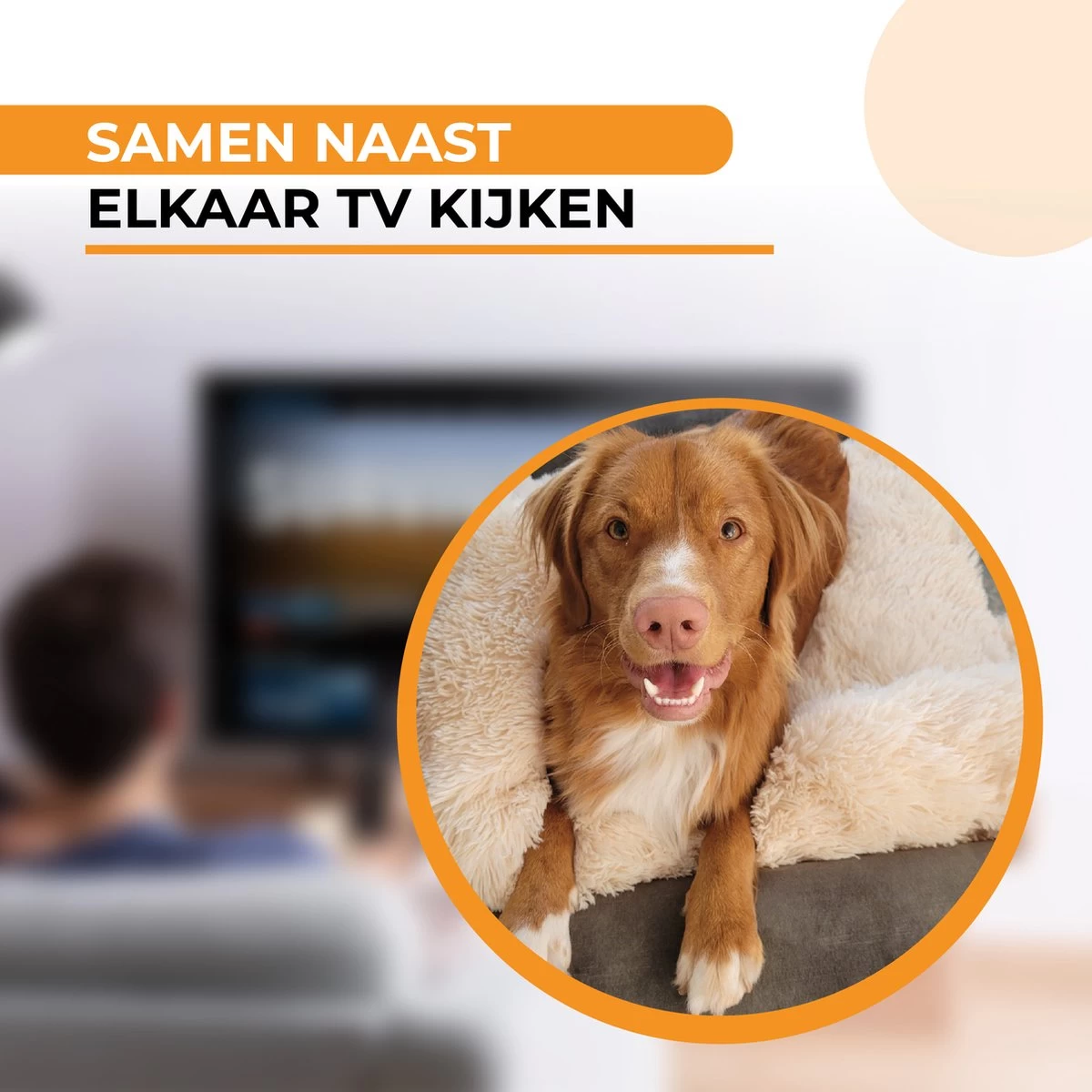 Origineel Hondendeken Voor Bank M – Hondenkleed Fluffy – Pluche Hondenbed - Hondenmand Premium - Volledig Afritsbaar - Beige - Afbeelding 3