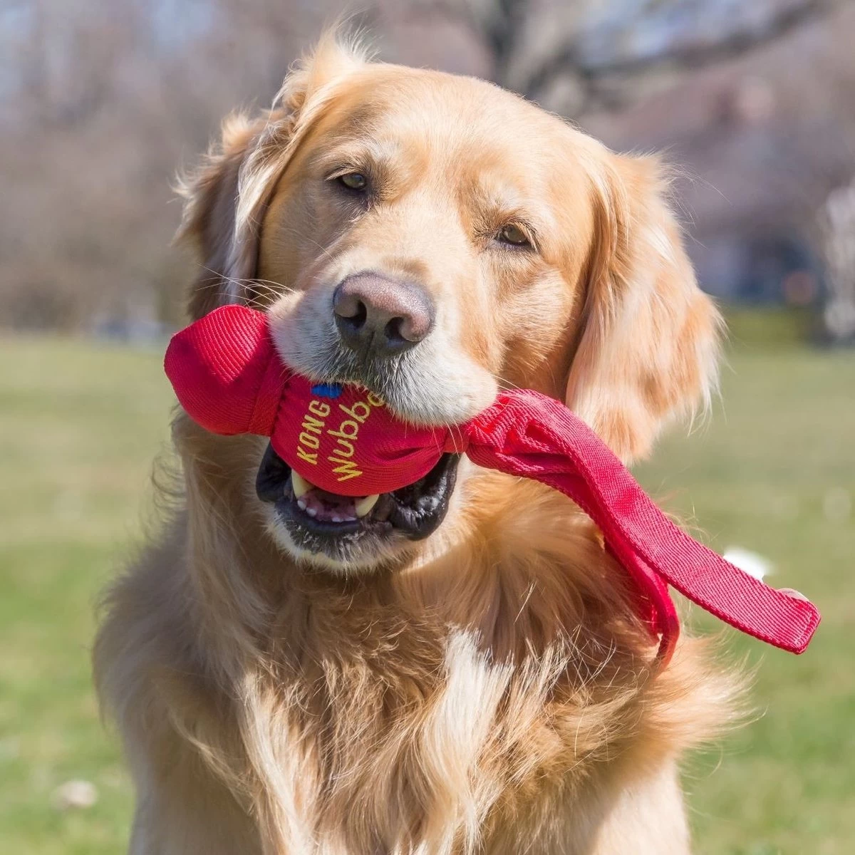 Kong Wubba - Hondenspeelgoed - Assorti - L: 36 Cm - Afbeelding 4