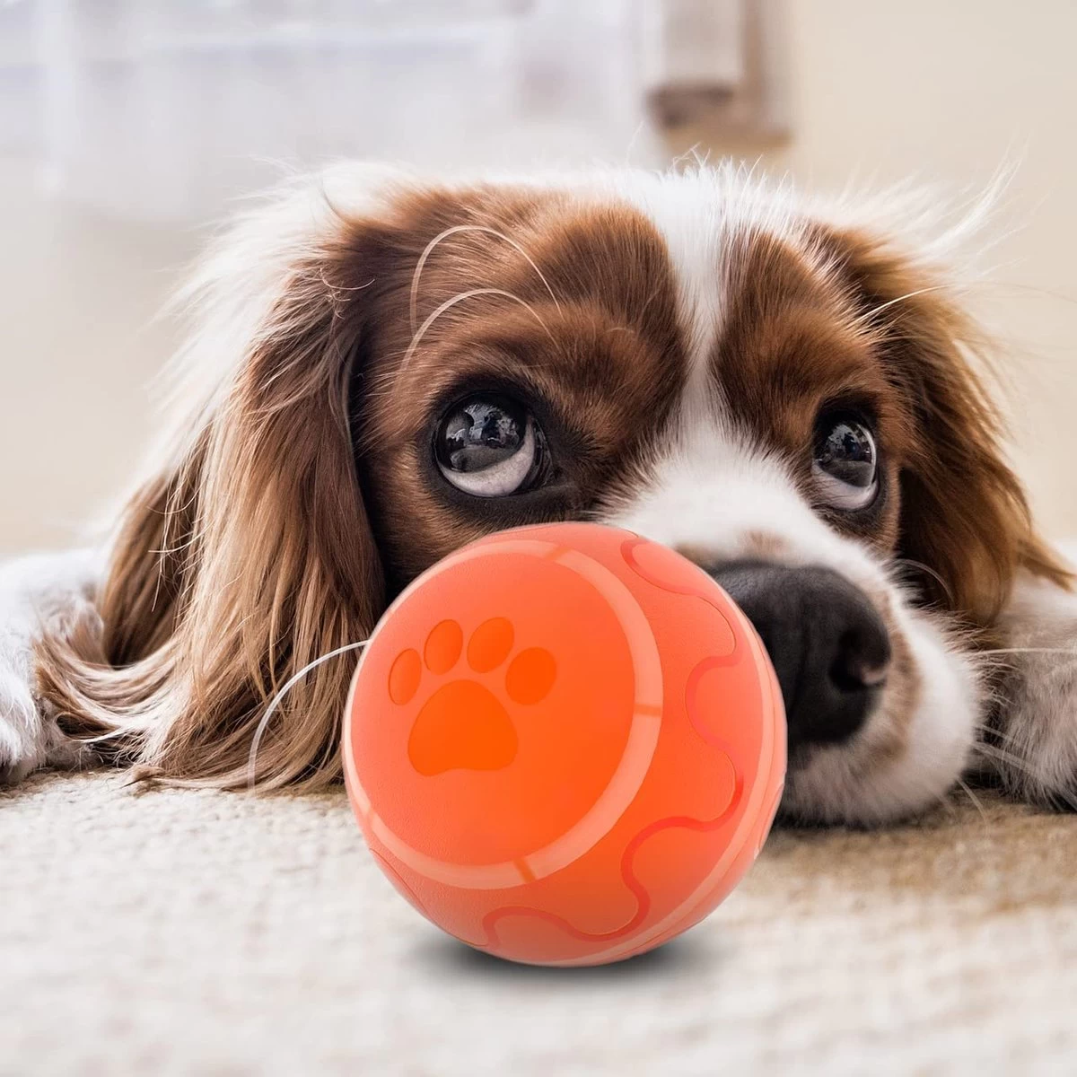 Good Experience Interactieve Hondenbal 3.0 – Honden Speelgoed Intelligentie – Puppy Speelgoed – Hondenspeeltjes – De Enige Die Werkt Met Afstandsbediening – De Veilige Bal Voor Jouw Hond – One Size – Oranje - Afbeelding 9