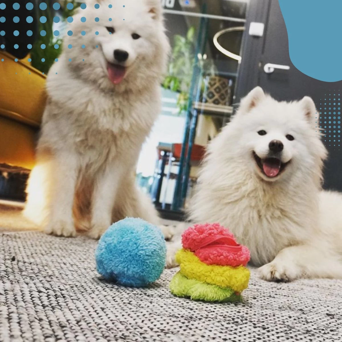 Merkloos Magic Roller Ball – Honden Speelgoed – Kattenspeeltjes - Honden Speeltjes - Kattenspeelgoed - INCLUSIEF BATTERIJ - Afbeelding 3