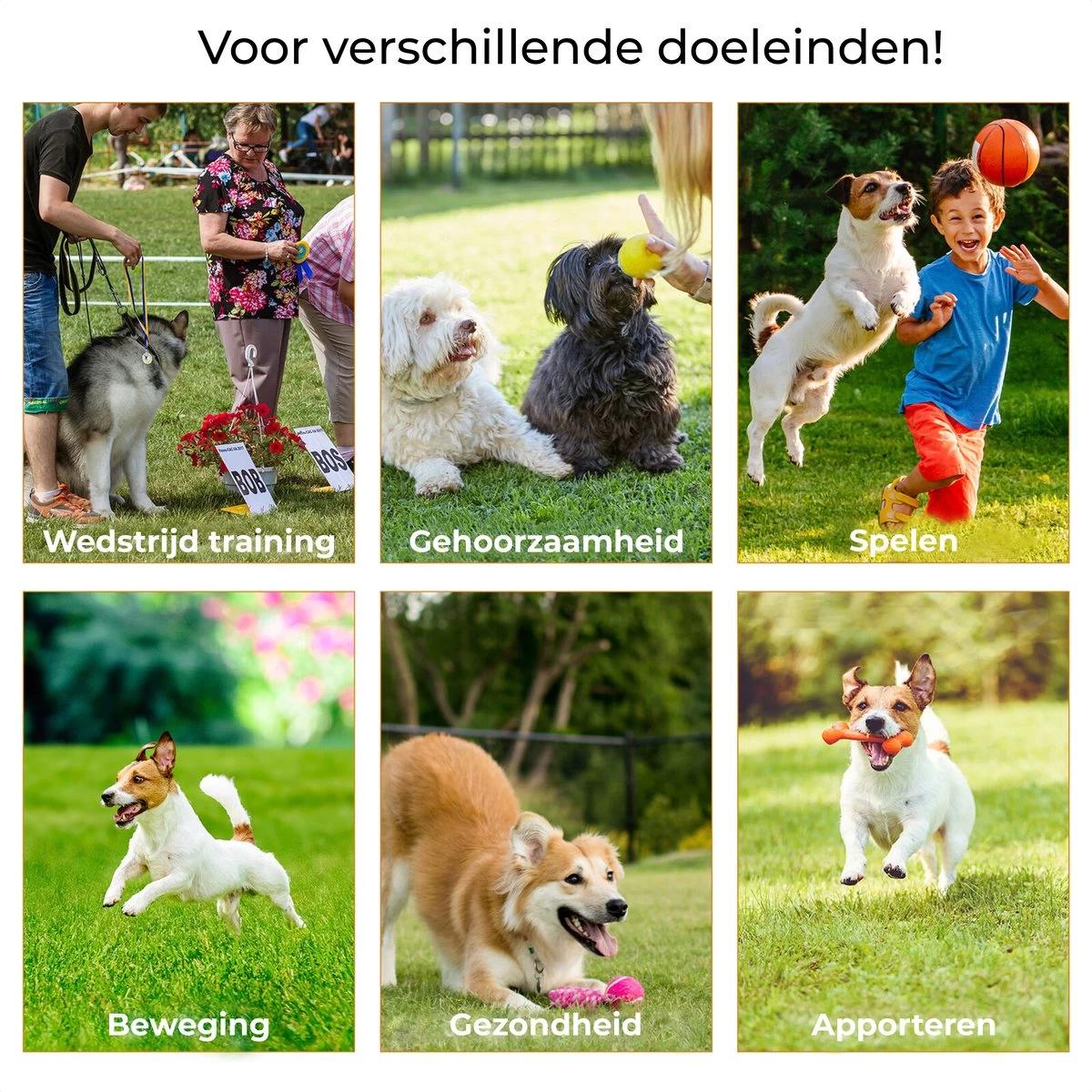 AYOO Agility Voor De Hond - Honden Training - Honden Behendigheid Set - Hondenparcours - Training Huisdieren - Honden Agility Set - Slalom - Horde - Draagzak - Agility Set - Oranje - Wit - GRATIS Speeltouw - Afbeelding 6