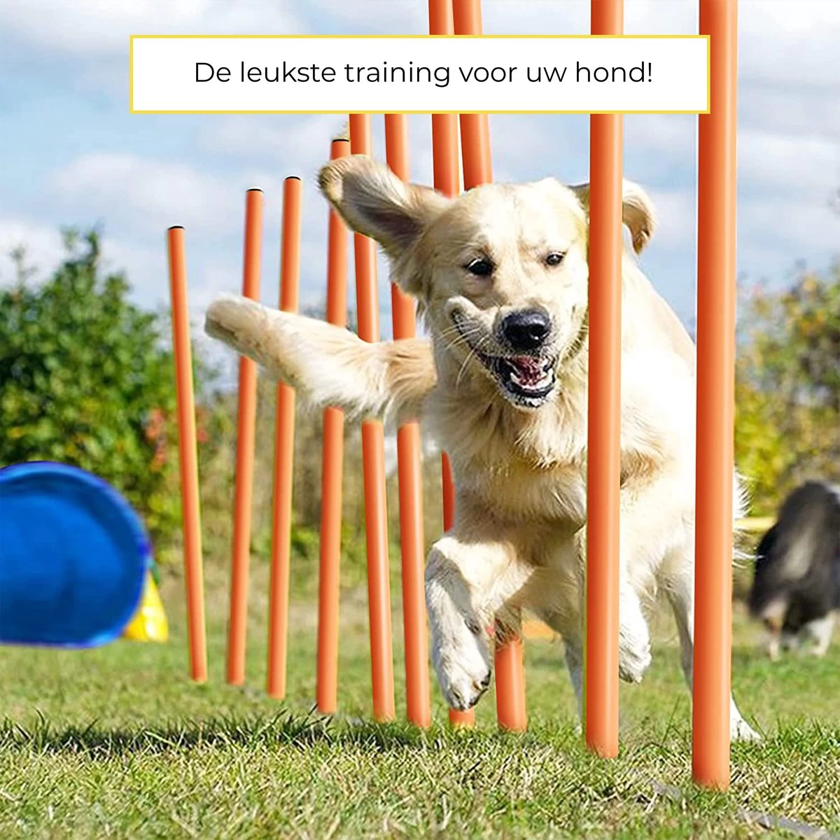 AYOO Agility Voor De Hond - Honden Agility Set - Honden Training - Honden Behendigheid Set - Honden Parcours - Training Huisdieren - Tunnel - Slalom - Horde - Draagzak - 21 Delig - GRATIS Speeltouw - Afbeelding 3