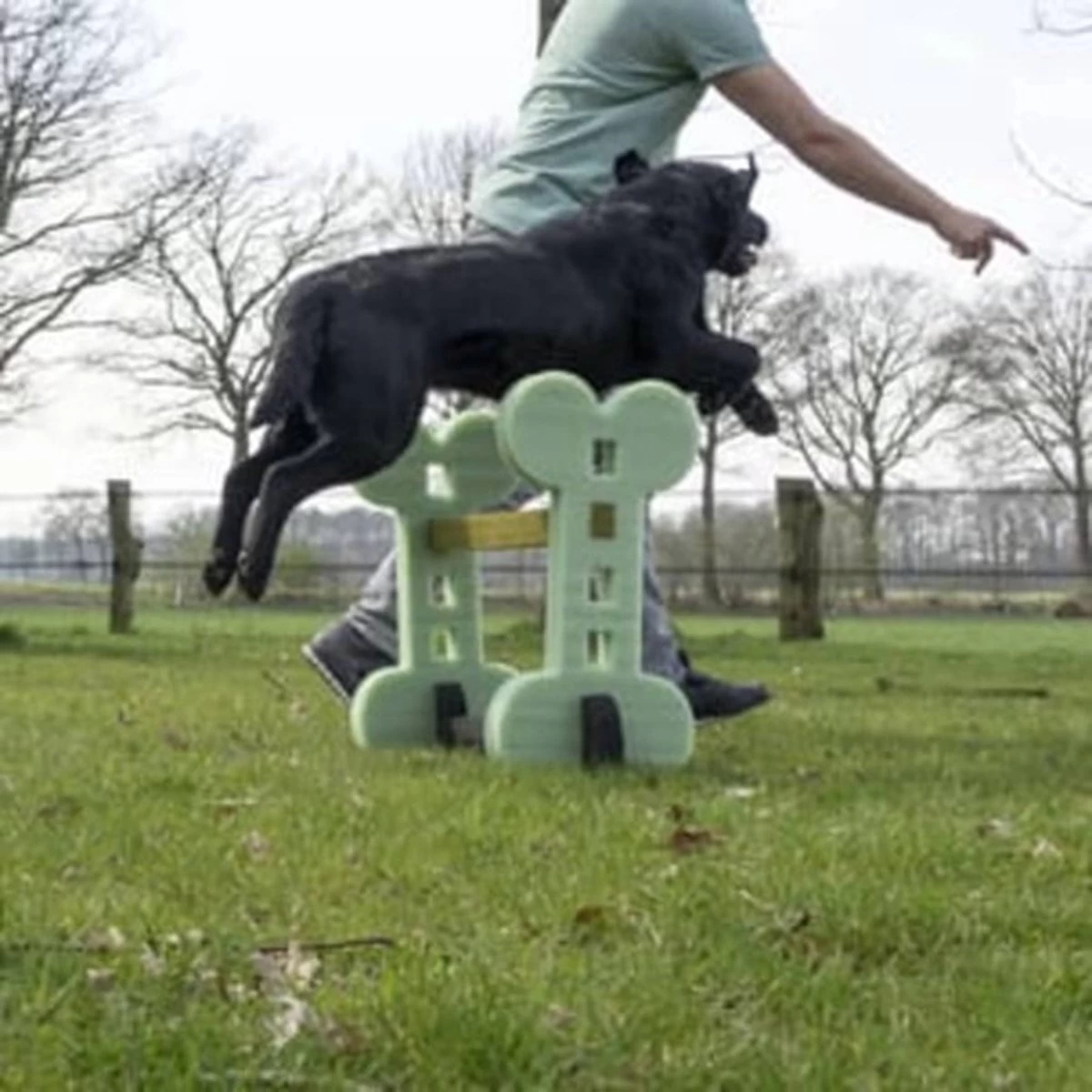 Dog Agility Set Indoor En Outdoor - Honden Trainingsset - - Afbeelding 2