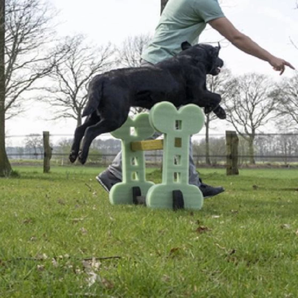 Dog Agility Set Indoor En Outdoor - Honden Trainingsset - - Afbeelding 6