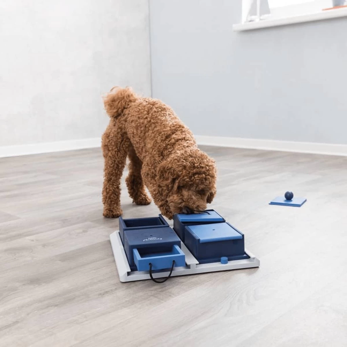 Trixie Dog Activity Poker Box 1 - 31X31 CM - Afbeelding 2