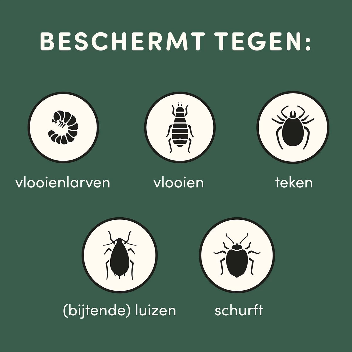 2 Stuks Vlooienband Kleine Hond Tekenband - 100% Natuurlijk Veilig En Waterbestendig - Afbeelding 4