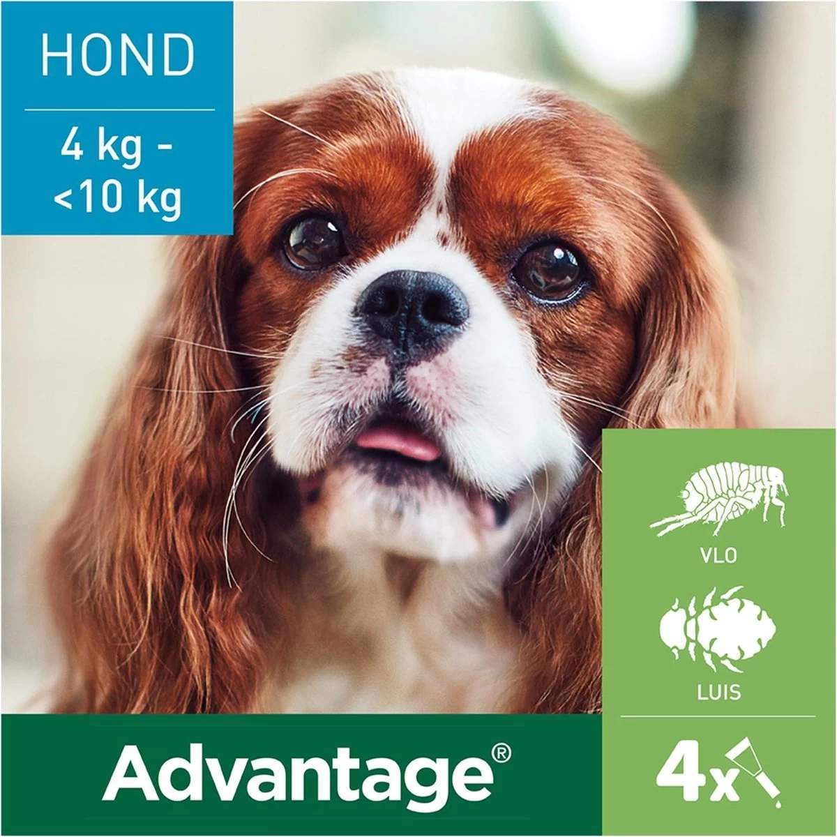 Bayer Advantage 100 Hond 4-10 Kg - 4 Pipetten à 1,0 Ml - Afbeelding 7
