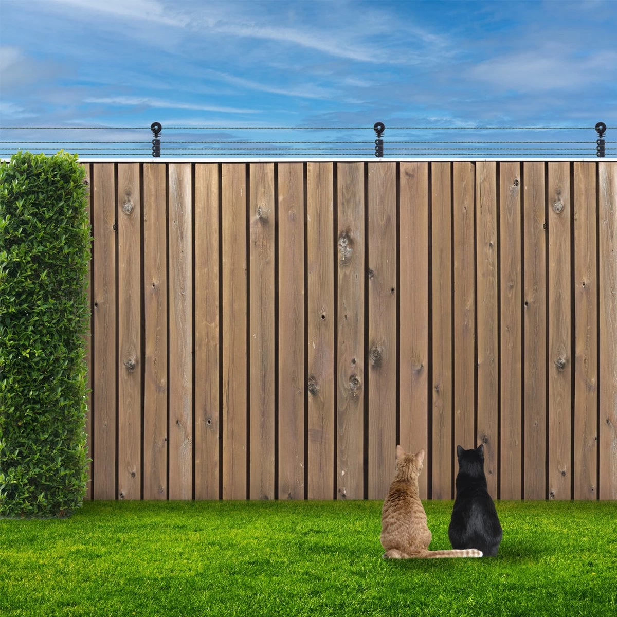 Katten Schrikdraad Set Voor Op De Schutting - Afbeelding 4