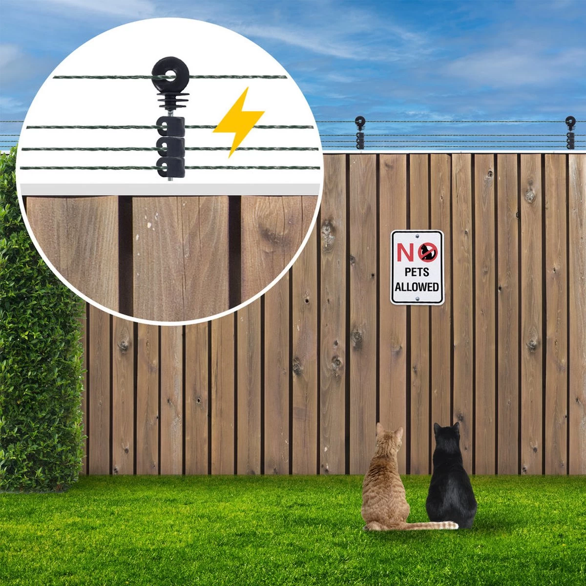 Katten Schrikdraad Set Voor Op De Schutting - Afbeelding 5