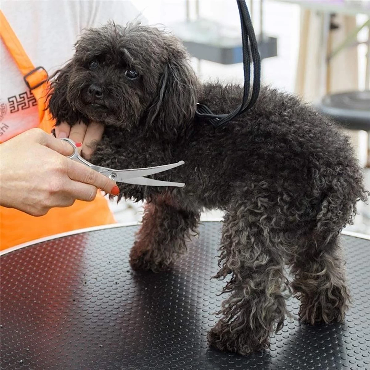 Merkloos Premium Gebogen Trimschaar Honden - Huisdier Trimmen - Hoofd, Poten Ogen & Oren - Kat & Hond Knippen - Veilige Schaar - Afbeelding 3
