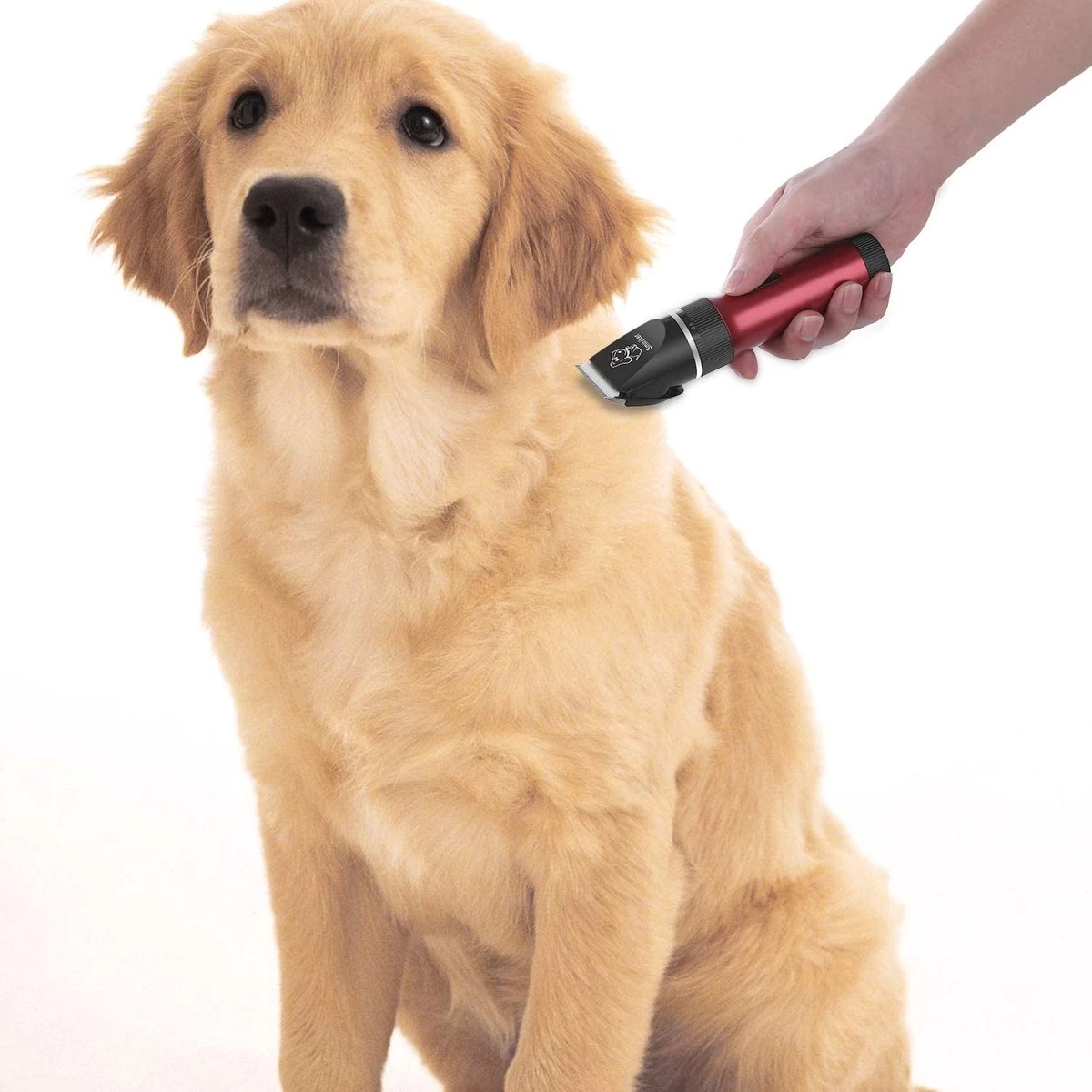 Merkloos Hondentondeuse, Hundeschermaschine / Dog Clippers - Dierenhaartrimmer, Hondentondeuse Kit Hond Verzorging - Afbeelding 4