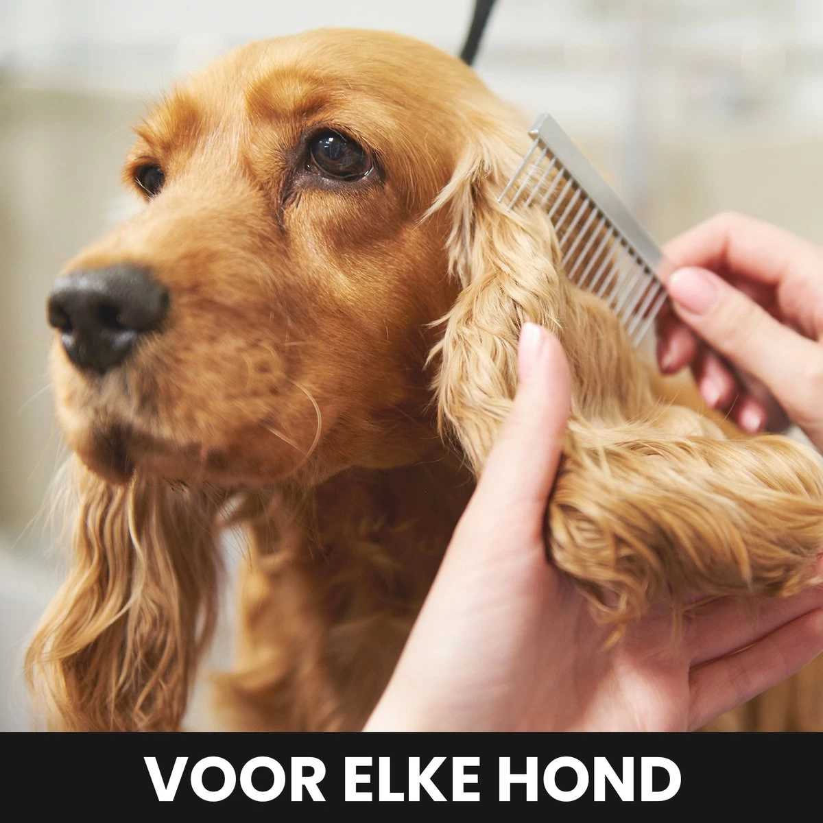 Hondentondeuse - Honden & Katten - Trimmer - Geluidsloos - Afbeelding 3