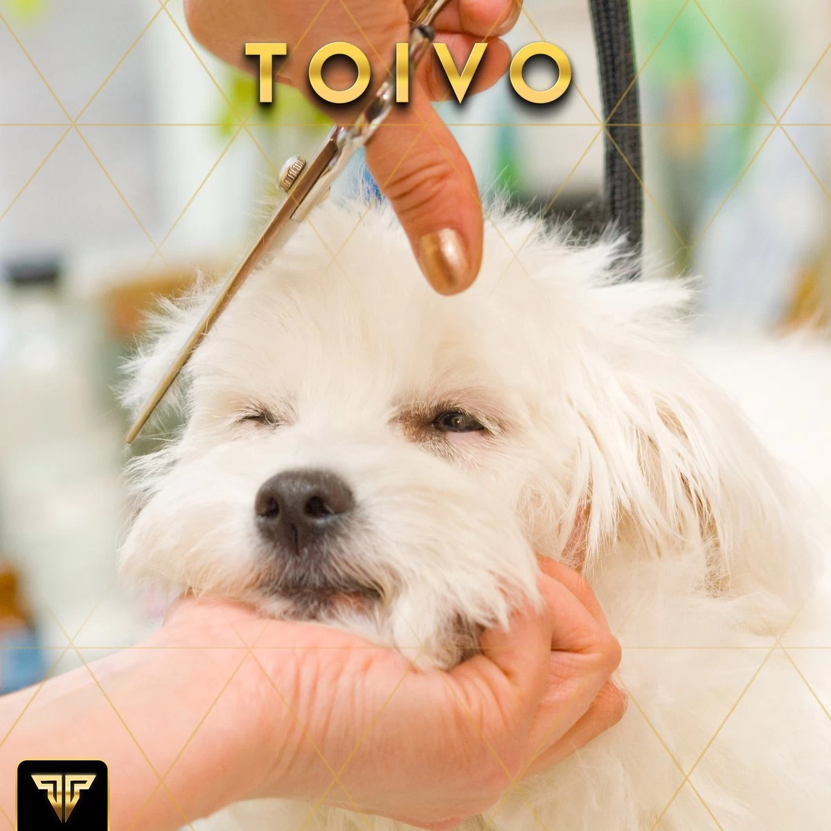 Toivo Schaar Voor Dieren - Zilver - Effileerscharen - Honden Scharenset - Dierenschaar - Set 5 Stuks - Trimscharen - Trimset - Uitdunschaar Hond - Schaar Honden - Afbeelding 8