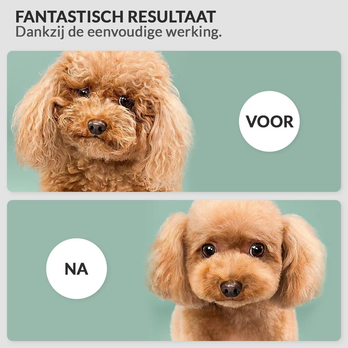 Hondenföhn/Waterblazer - Verstelbare Vermogen Standen (500W Tot 2400W) En Verstelbare Temperatuur - Zwart - Afbeelding 5