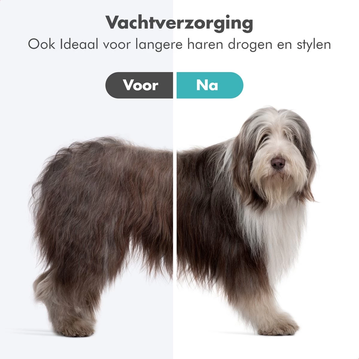 BURCH PetCare Ace - Waterblazer Voor Honden - Handzame Hondenföhn - RVS Borstel - 500W - Afbeelding 2