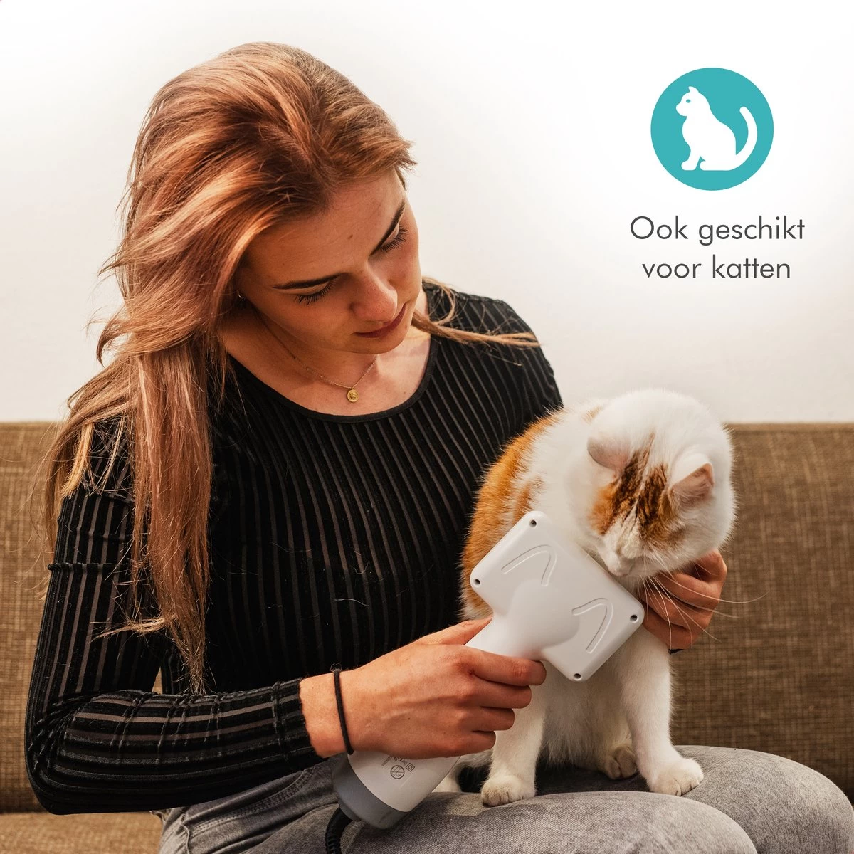 BURCH PetCare Ace - Waterblazer Voor Honden - Handzame Hondenföhn - RVS Borstel - 500W - Afbeelding 8