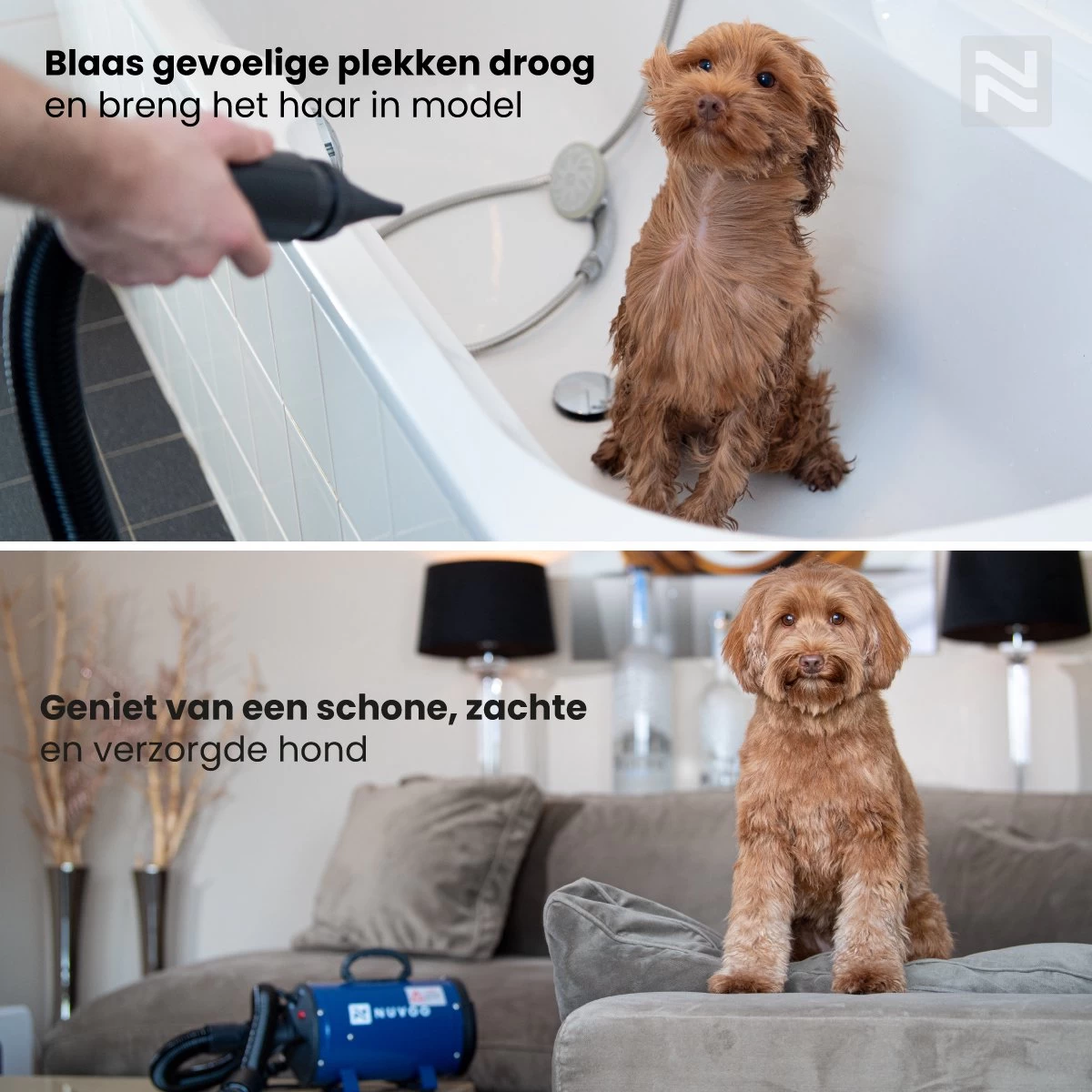 Nuvoo Professionele Hondenföhn / Waterblazer / Hondenborstel Met 3 Opzetstukken - Verstelbare Vermogen Tot 2200W - Warme / Koude Stand - Roze - Afbeelding 5