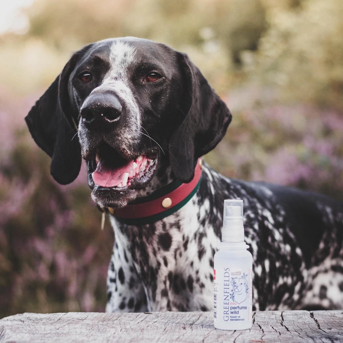 Hondenparfum Spray In 4 Geuren - Greenfields - Alchoholvrije En PH Neutrale Formule Tegen Onaangename Geurtjes - 50ml - Wild - Afbeelding 15