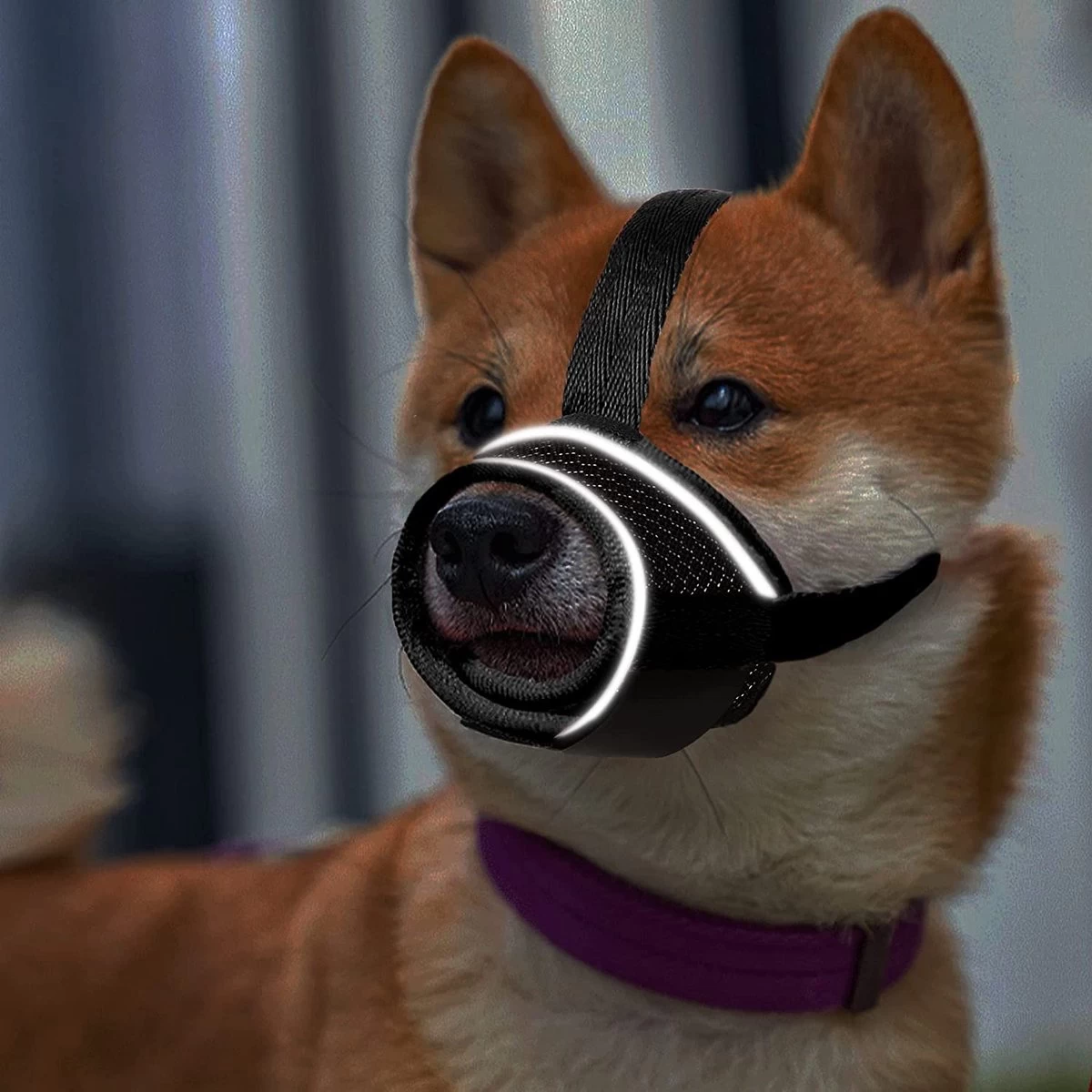 Merkloos Hoog Kwaliteit Muilkorf Met Bedrukt Patroon - Muilkorf Hond - Hondensnuit - Anti Blaf En Bijt - Voor Kleine En Grote Honden Maat M Zwart Reflecterend - Afbeelding 3