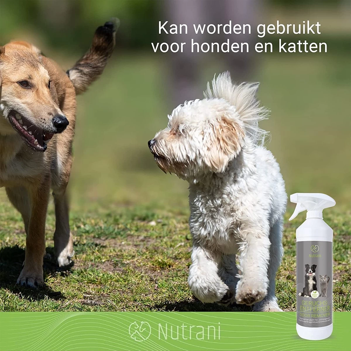 Nutrani Geurverwijderaar, 750 Ml, Natuurlijke Enzymreiniger Als Gebruiksklare Spray Met Biologische Werking, Verwijdert Geurtjes, Urine, Poep En Vlekken Van Honden En Katten - Afbeelding 3