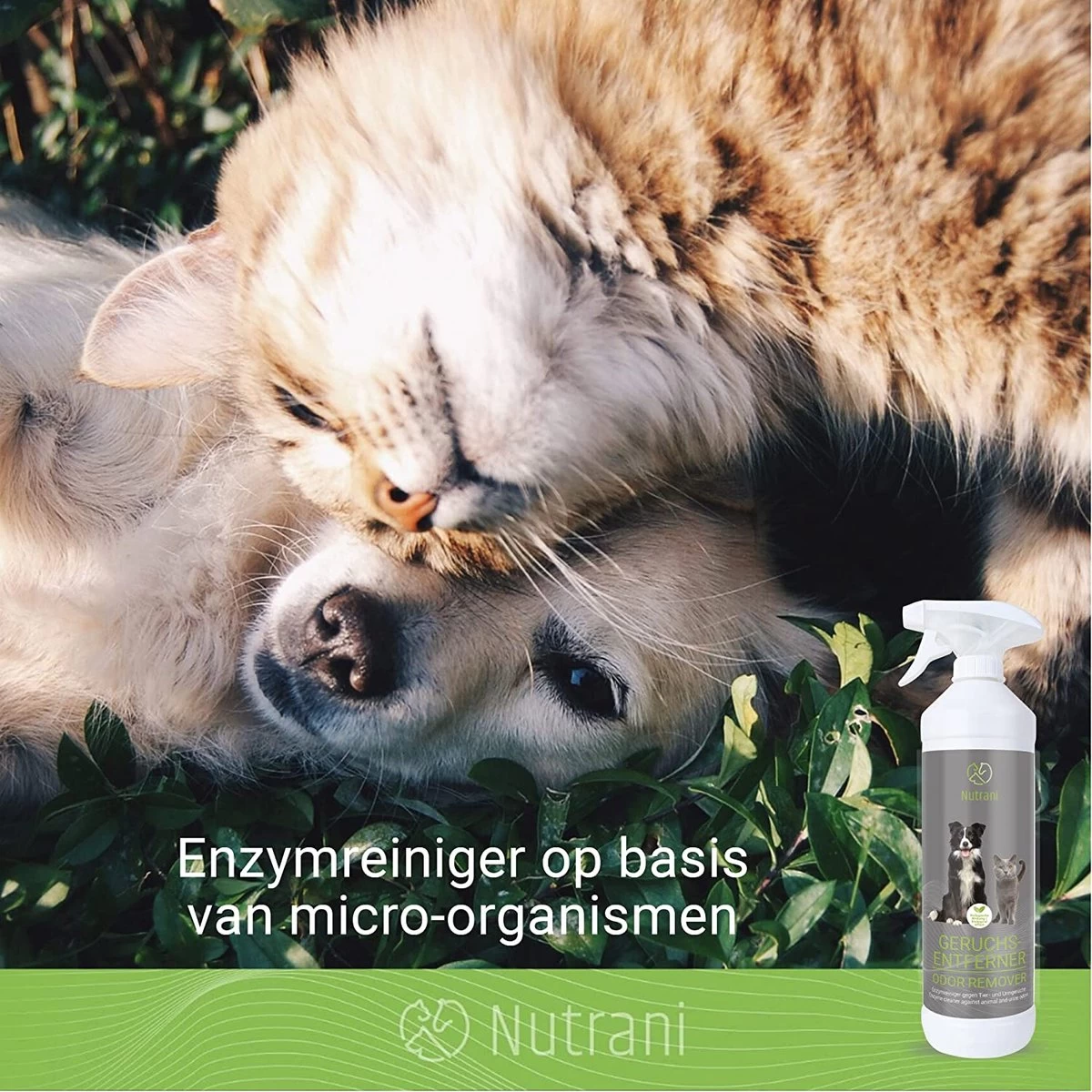 Nutrani Geurverwijderaar, 750 Ml, Natuurlijke Enzymreiniger Als Gebruiksklare Spray Met Biologische Werking, Verwijdert Geurtjes, Urine, Poep En Vlekken Van Honden En Katten - Afbeelding 4