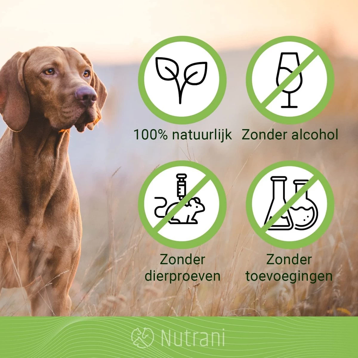 Nutrani Geurverwijderaar, 750 Ml, Natuurlijke Enzymreiniger Als Gebruiksklare Spray Met Biologische Werking, Verwijdert Geurtjes, Urine, Poep En Vlekken Van Honden En Katten - Afbeelding 5