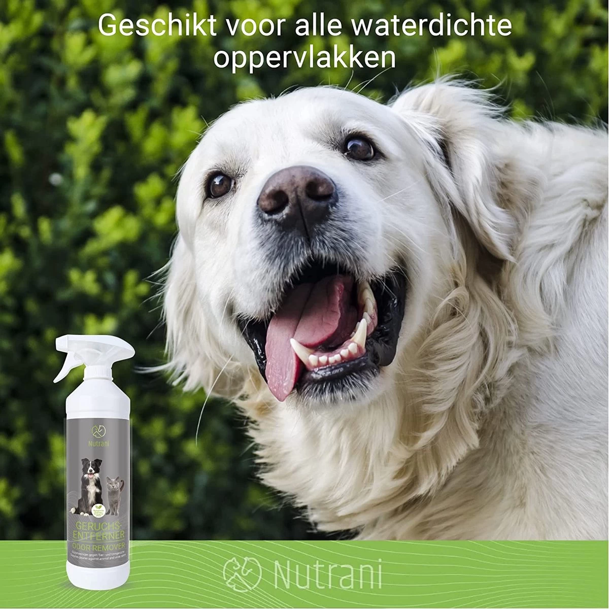 Nutrani Geurverwijderaar, 750 Ml, Natuurlijke Enzymreiniger Als Gebruiksklare Spray Met Biologische Werking, Verwijdert Geurtjes, Urine, Poep En Vlekken Van Honden En Katten - Afbeelding 6