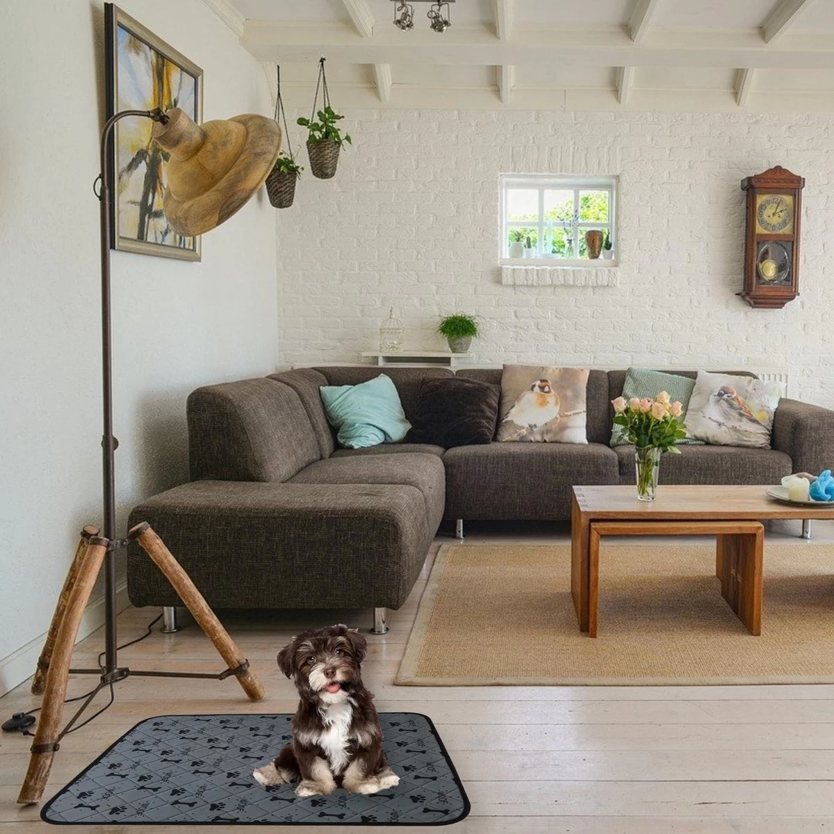 Jooba Puppy Training Pads - Wasbare Puppy Pads 2 Stuks - Hondentoilet - 70x50cm - Puppy - Afbeelding 3